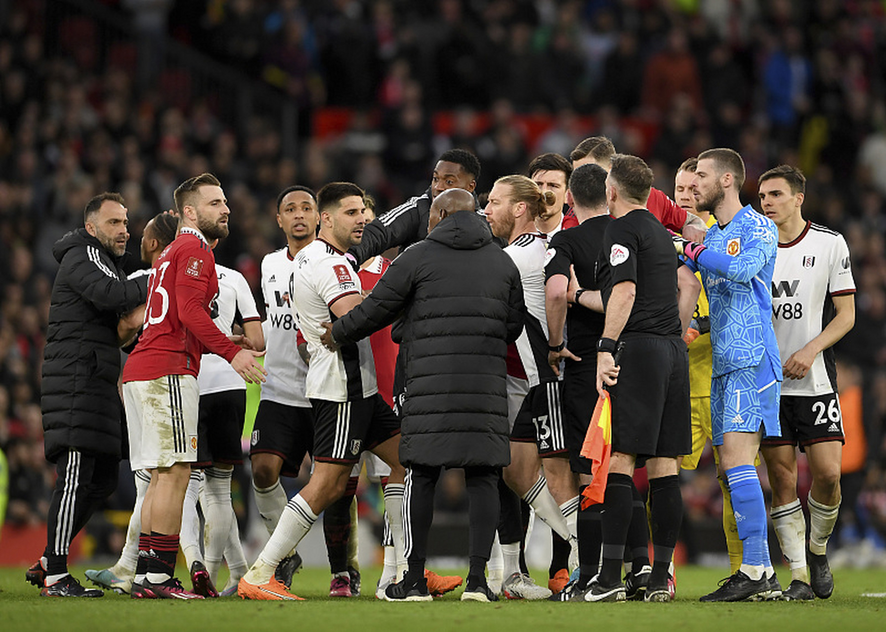 爱游戏- 蒂姆获得过大满贯吗 